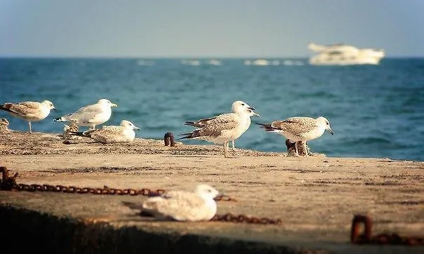 Hotell Grande Pettine Odessa