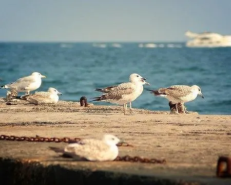 Отель Grande Pettine Одесса